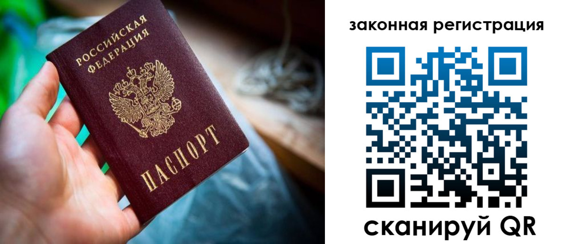 прописка в Моршанске